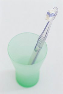 生活日用品素材全攻略 從圖片、背景到模板的一站式解決方案